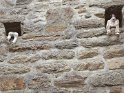 2017-09-28 12-15-13 La Roche Bernard FGn